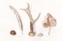 Trisha-Hayman-Discarded