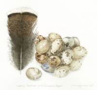 Trisha-Hayman-Eggs-Feather