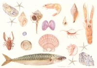 Trisha-Hayman-Seaside-with-Mackerel