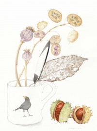 chestnuts-and-seed-pods2
