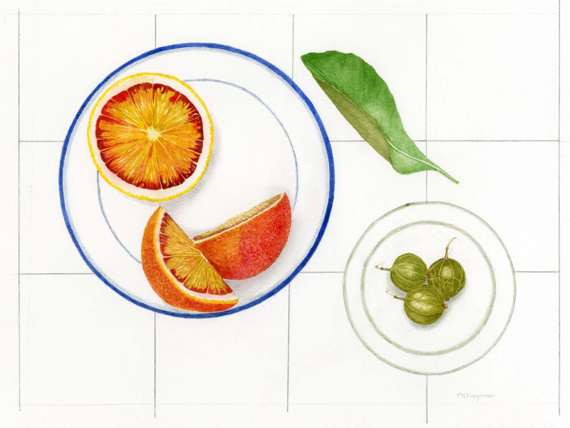 Blood-oranges-and-goosberries-©Trisha-Hayman