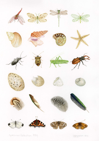 Specimens-©Trisha-Hayman