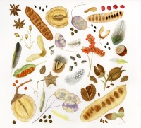 Trisha-Hayman-Autumn-Collection