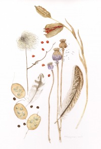 Trisha Hayman Autumn