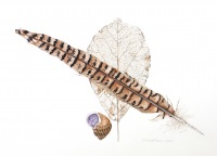 Trisha-Hayman-Feather-Leaf