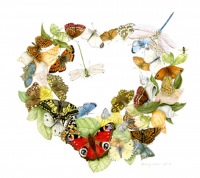 Trisha-Hayman-Heart-of-Butterflies