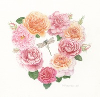 Trisha Hayman Heart of Roses