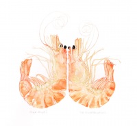 Trisha-Hayman-Prawns