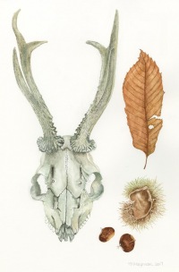 Trisha Hayman Skull Leaf