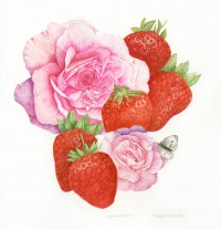 Trisha-Hayman-Strawberries-and-Rose
